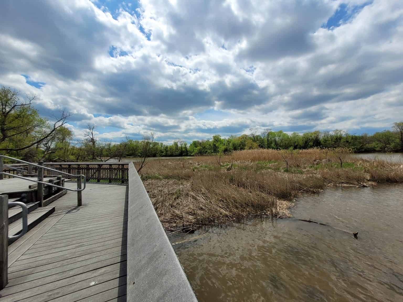 Kenilworth Aquatic Gardens boardwalk overlooks photo 2